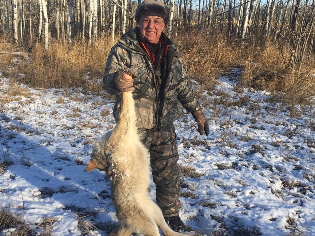 Coyote Hunting Alberta Canada